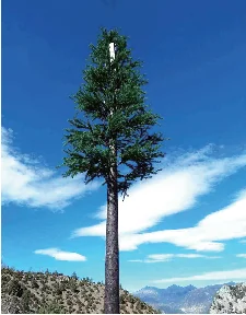 Camouflaged telecommunications tower